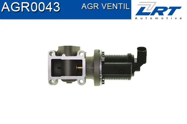 EGR Valve