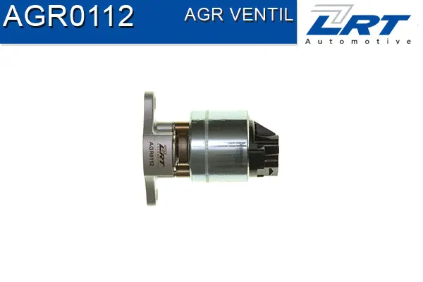 EGR Valve