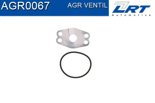 EGR Valve
