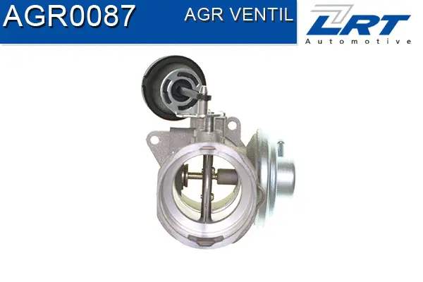 EGR Valve