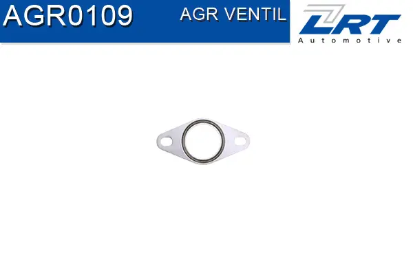 EGR Valve