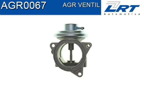 EGR Valve