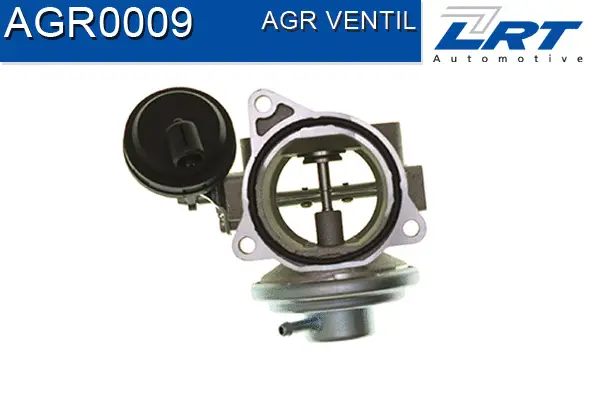EGR Valve