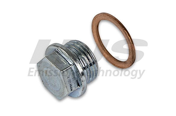 Screw Plug, oil sump (82 11 1437)