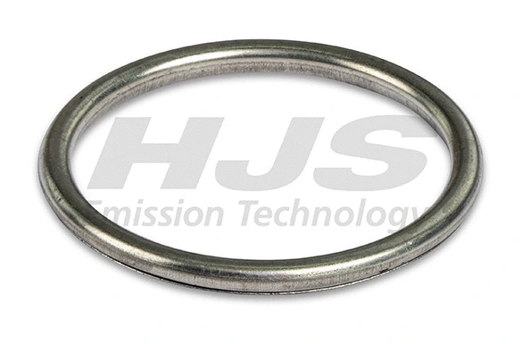 Seal Ring, exhaust pipe (83 43 7829)
