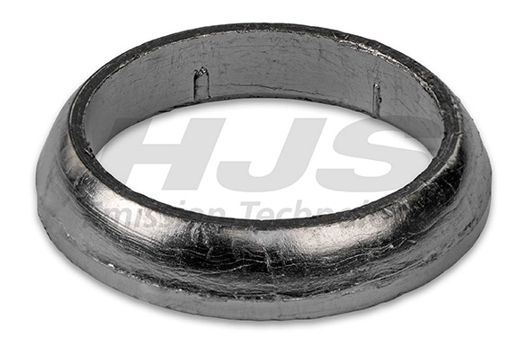 Seal Ring, exhaust pipe (83 48 7543)