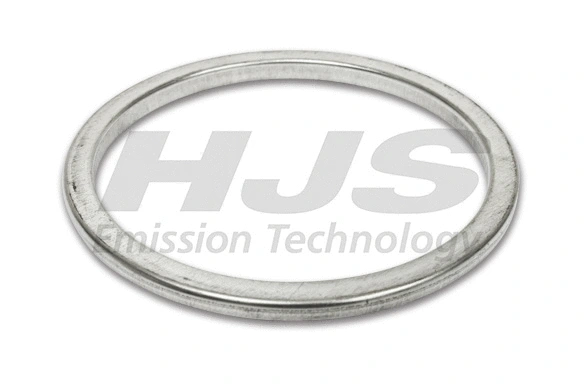 Seal Ring, exhaust pipe (83 43 7838)