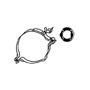 Bracket, muffler (82 12 2808)
