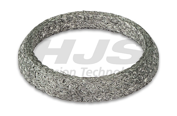 Seal Ring, exhaust pipe (83 15 5966)