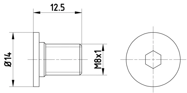 Bolt, brake disc (TPM0002)