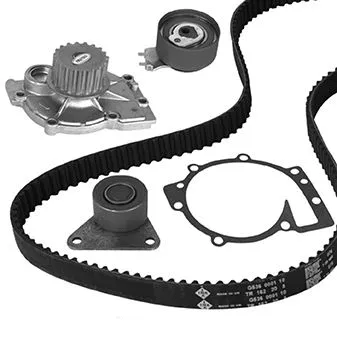 Water Pump & Timing Belt Kit (30-1019-1)