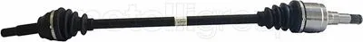 Drive Shaft (17-0893)