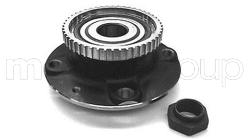 Wheel Bearing Kit (19-2669)