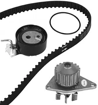 Water Pump & Timing Belt Kit (30-0837-2)