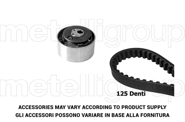 Timing Belt Kit (29-0118)