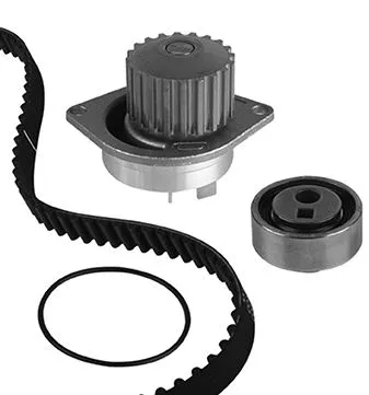 Water Pump & Timing Belt Kit (30-0491-1)