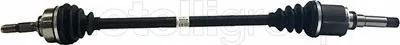 Drive Shaft (17-1222)