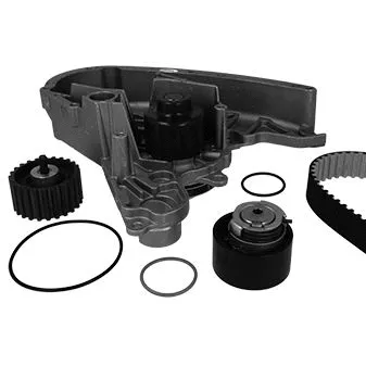 Water Pump & Timing Belt Kit (30-0900-1)