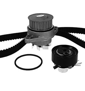 Water Pump & Timing Belt Kit (30-0603-3)