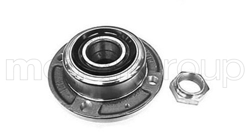 Wheel Bearing Kit (19-2527)