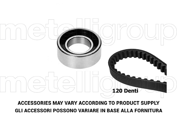 Timing Belt Kit (29-0313)