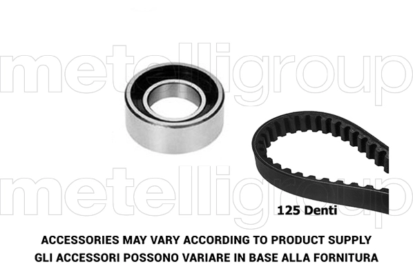 Timing Belt Kit (29-0028)