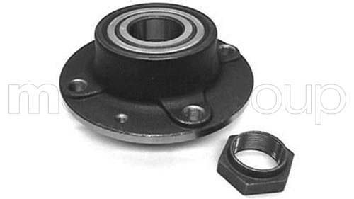 Wheel Bearing Kit (19-2667)
