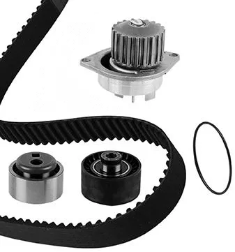 Water Pump & Timing Belt Kit (30-0491-2)