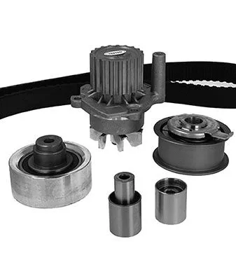 Water Pump & Timing Belt Kit (30-0875-2)