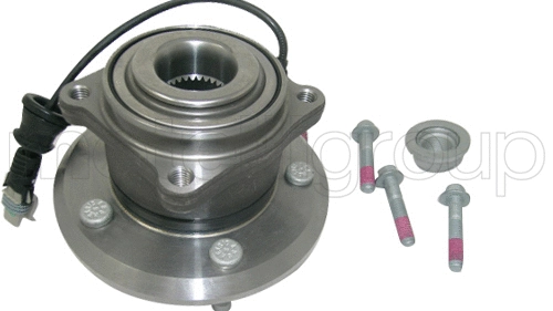 Wheel Bearing Kit (19-2897)