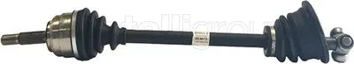 Drive Shaft (17-0029)