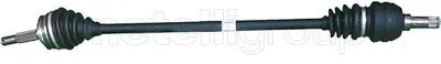 Drive Shaft (17-0624)