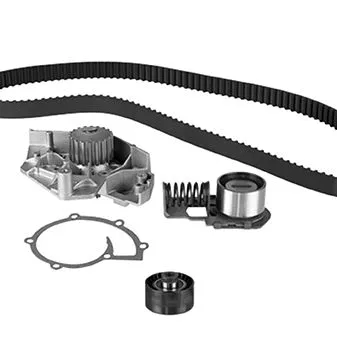 Water Pump & Timing Belt Kit (30-0542-1)