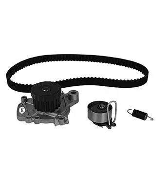 Water Pump & Timing Belt Kit (30-0876-1)