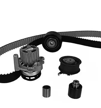 Water Pump & Timing Belt Kit (30-1090-1)