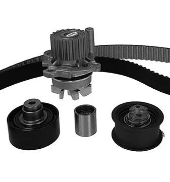 Water Pump & Timing Belt Kit (30-0731-2)