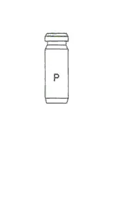Valve Guide (01-2743)