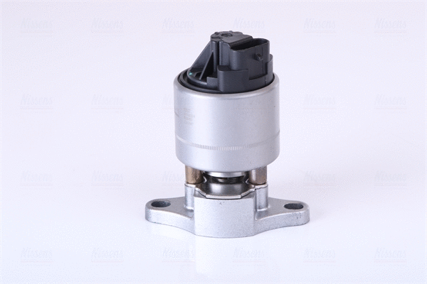 EGR Valve (98187)
