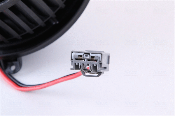 Interior Blower
