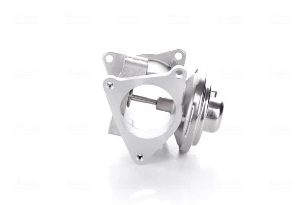 EGR Valve (98173)