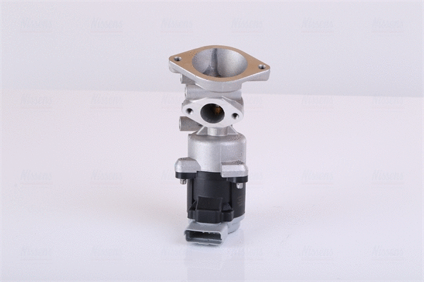 EGR Valve (98350)
