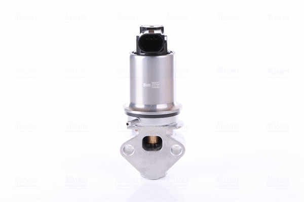 EGR Valve (98371)