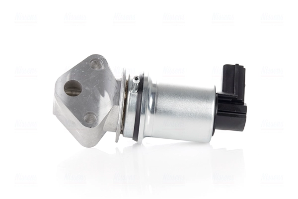 EGR Valve (98202)