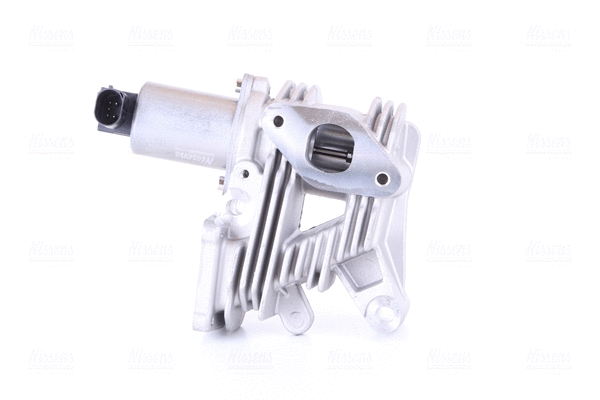 EGR Valve (98189)