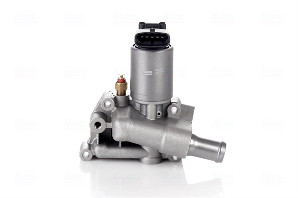 EGR Valve (98204)