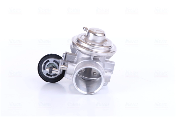 EGR Valve (98182)
