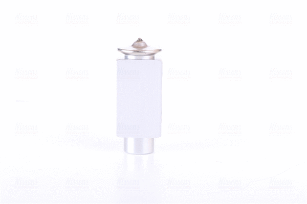 Expansion Valve, air conditioning (999322)