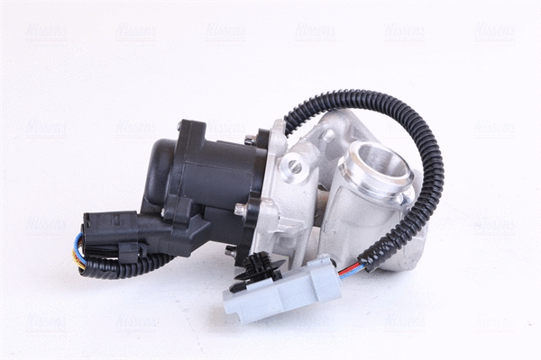 EGR Valve (98245)