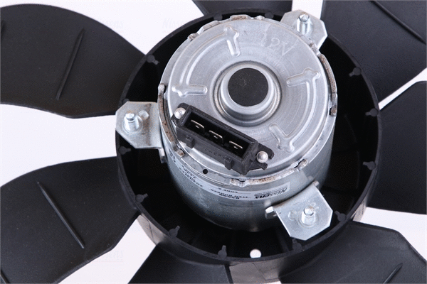 Fan, engine cooling