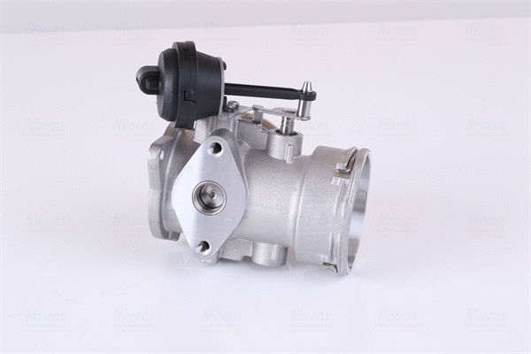 EGR Valve (98346)